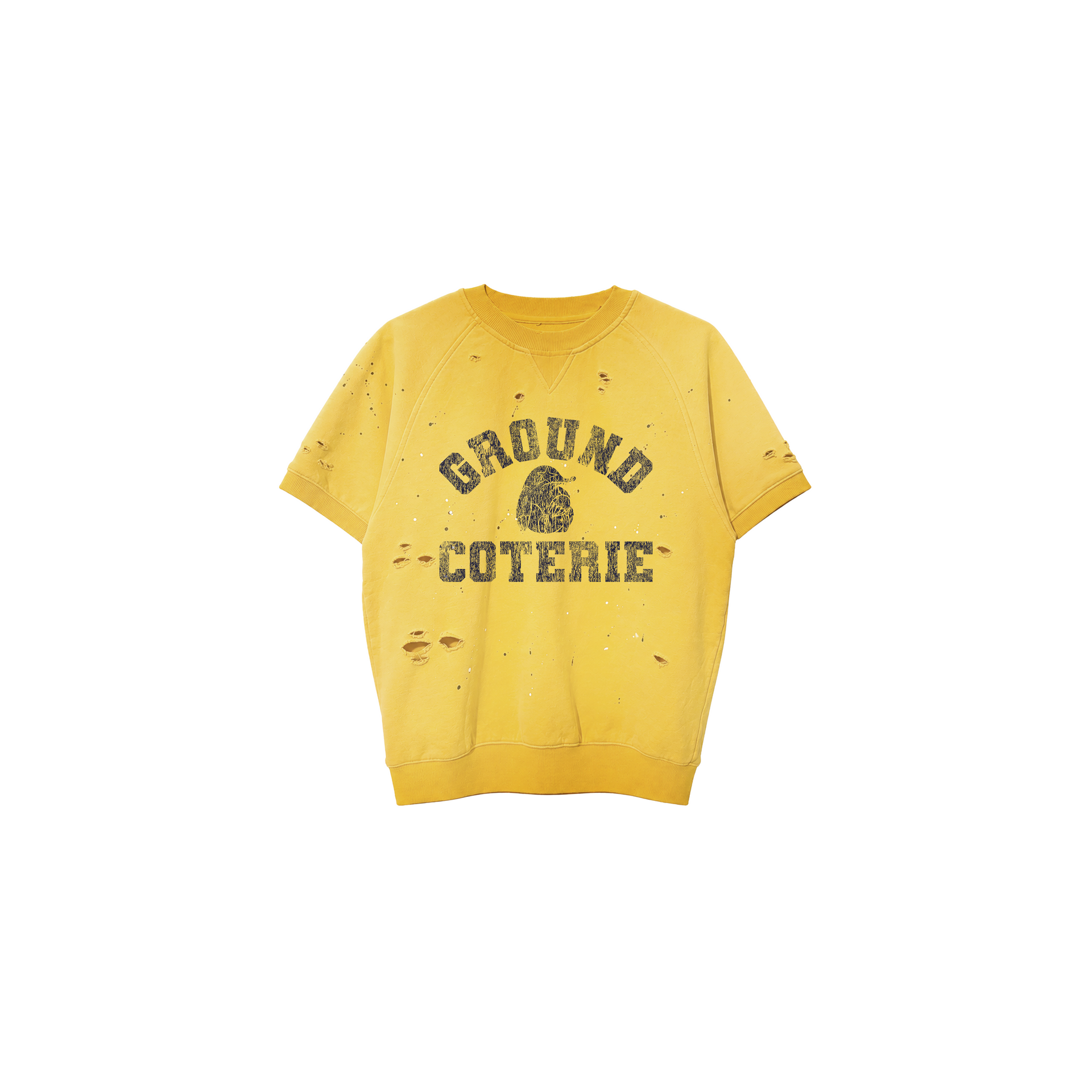Michigan Vintage Raglan